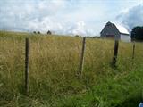 Loft Barn and Field