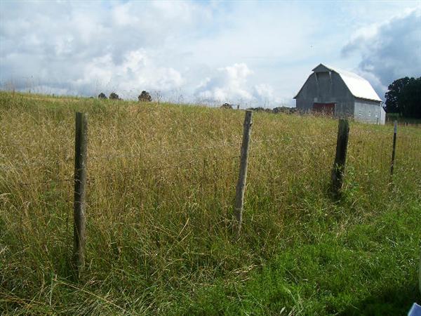 Loft Barn and Field