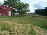 View of Land