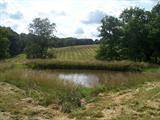 View of Land