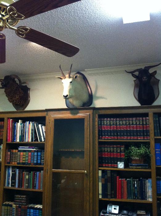                  3 wild game mounts; many books