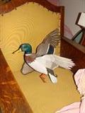 Emil Wilcox Mallard in flight