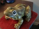 Weller brush frog