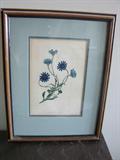 Trower hand colored litho c1850