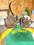 Dry Grove ball jersey and mitts