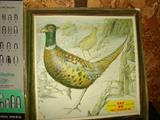 Winchester molded plastic advertising - Pheasant