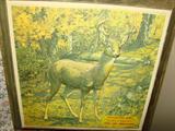 Winchester molded plastic advertising - Buck