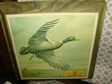 Winchester molded plastic advertising - Mallard