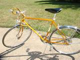 Vintage Schwinn for the best boy on your list!