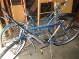 Bikes including vintage Schwinn.