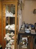 Sea Shell collection and lighted display cabinet