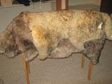 Sheepskins
