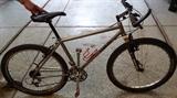 Merlin Mountain Bike