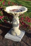 Bird Bath