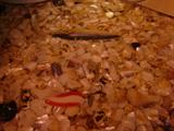 Bar top filled with lures.