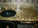 Vanity top filled with Abalone shells.