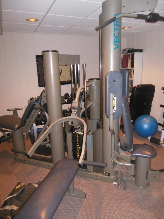 Vectra On Line 3500 Home Gym with precession Weights