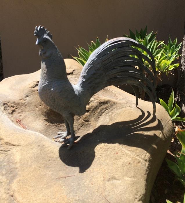 Rooster on the Rocks