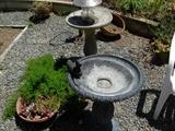 Bird baths..NOW 50% OFF