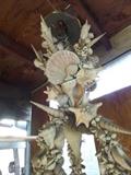 one of the best sea shell chandiliers we have ever had