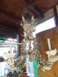another photo of sea shell chandilier