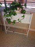 A white wicker plant stand