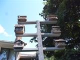 POLE WITH ASSORTED BIRD HOUSES