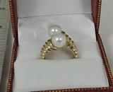 Here is a classic design two-pearl ring. We make this ring ourselves. We make the wax model, cast it in 14k yellow gold, and then hand finish each piece right here in Texas. The final touch is to secure two fine cultured pearls in the ring. These are not freshwater pearls; they are Akoya (Sea of Japan) saltwater pearls. These are more expensive pearls, which invariably have finer color and luster. The pearls measure approximately 7.0 millimeters in diameter. The ring is made in a nice weight; we note a total weight with the pearls of 6.7 grams.