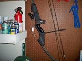 Dayton-Compound Bow
