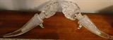 Pair of cornucopia vintage cut glass stoppered perfume bottles - $ 30.00 SOLD