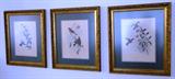 Set 3 matching prints $ 60.00