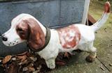 Metal dog ornament $ 30.00