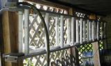 Extension Ladder $ 50.00