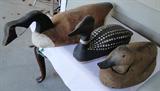 Loads of vintage decoy ducks - priced from $ 30.00 and up.