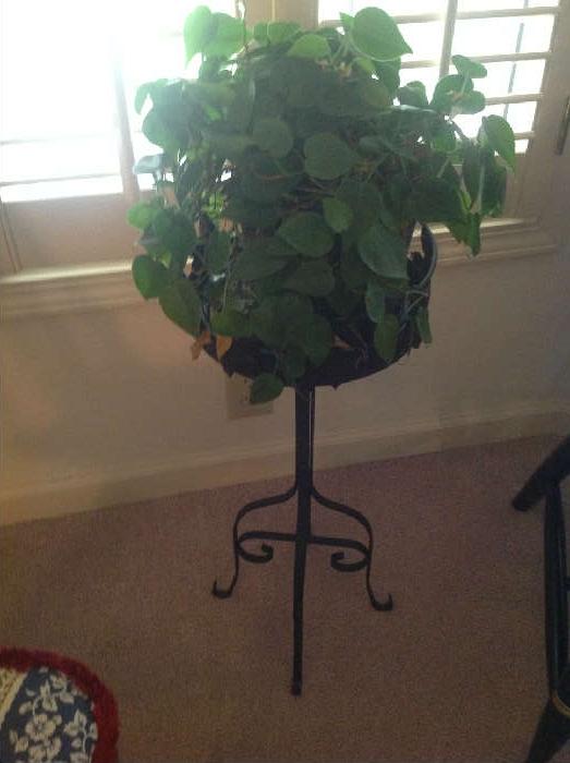 Plant stand - $ 30.00