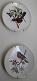 Item LR28 - Set of (2) Bird collectible plates.