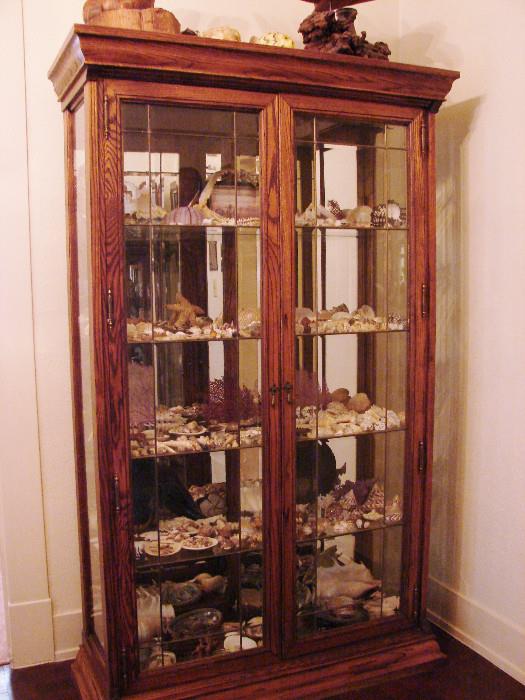 Large oak cabinet with myriad shells of various types.