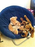                        Child's chair & stuffed animals