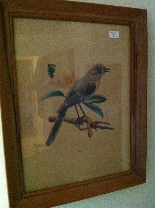                                  Framed bird picture