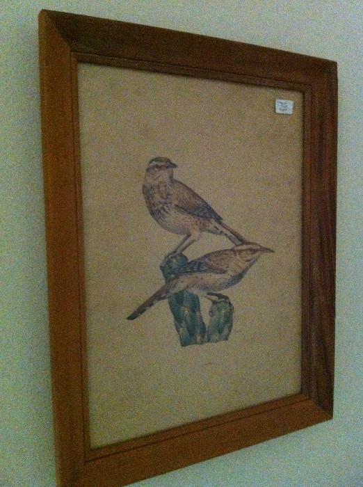                                    Framed bird picture
