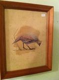                              Framed bird picture