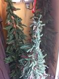                      3  narrow  Christmas trees