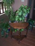 More plants and little half moon table