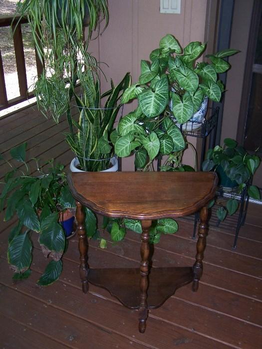 More plants and little half moon table