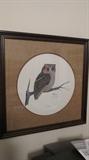 Flammulated Owl Print by Bob Hinton