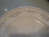 Haviland "Royal Lace" China