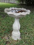 Bird Bath