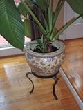 Large Potted Plant