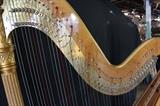 Lyon Healy Style 17 Semi Grand Harp Serial #3448