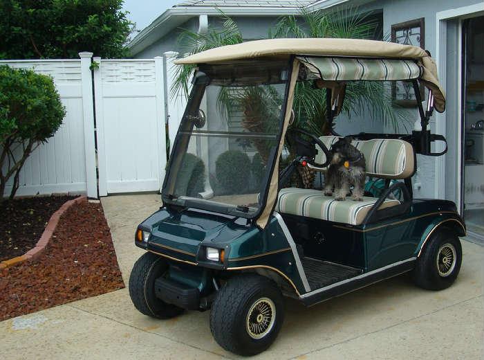 2005 Club Car golf cart, 48 volt , new battereis in Oct. 2013.